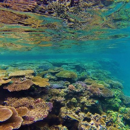 Mai Dive' Astrolabe Reef Resort Naqara Ngoại thất bức ảnh